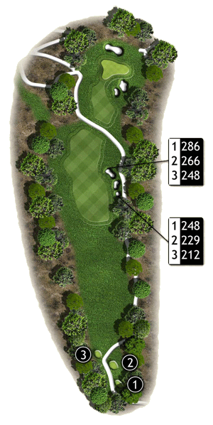 Hole 5 Hole 5 graphic