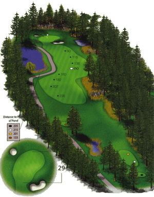 Hole 15 Hole 15 graphic
