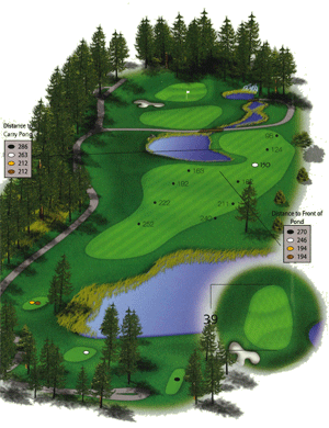 Hole 8 Hole 8 graphic